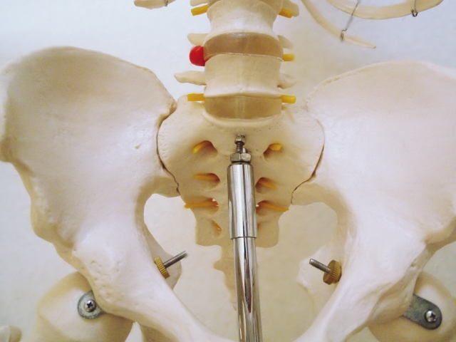 千葉県旭市の骨盤矯正